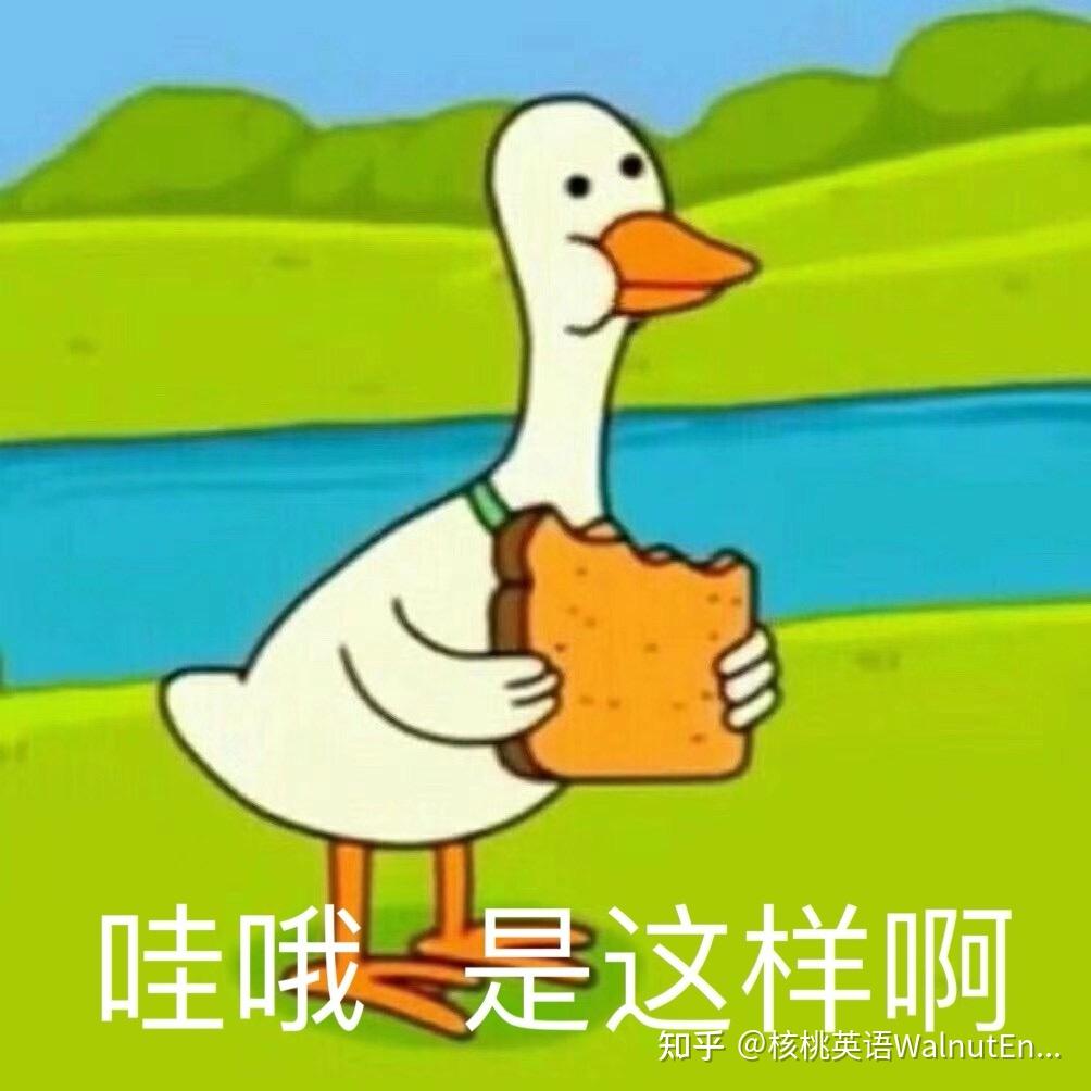 即使单词背得滚瓜烂熟,可能也做不了题.