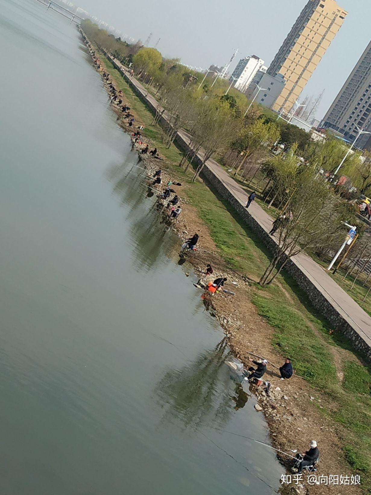 河南哪个城市适合过平淡的日子? - 知乎