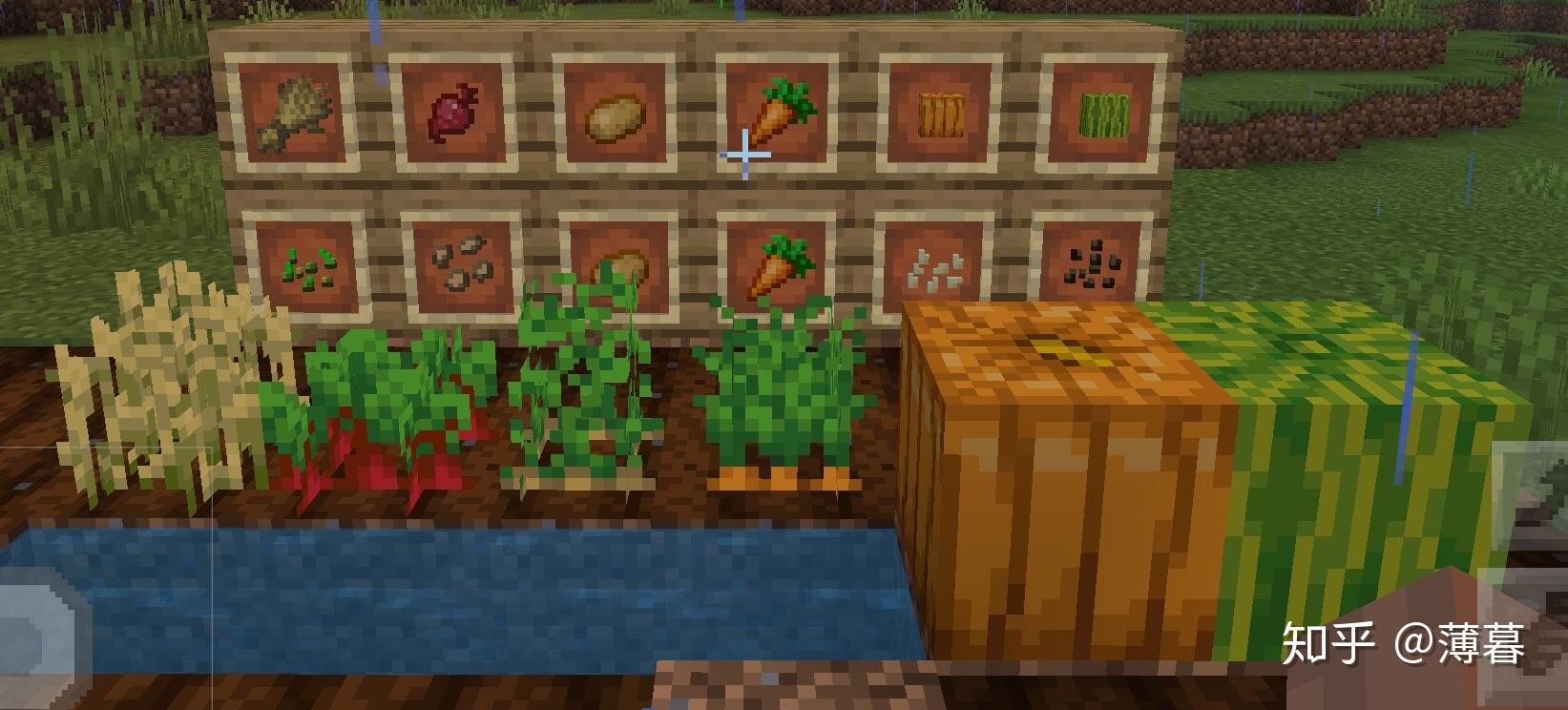 Minecraft生存指南专题:种植 - 知乎