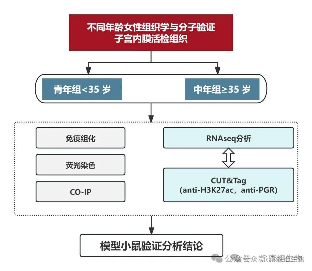 医学多组学文献分享》子宫内膜衰老伴随H3K27ac丢失和PGR减少- 知乎