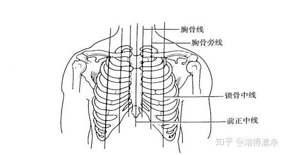 我还很年轻为什么胸部下垂了