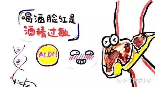 酒精过敏又想喝酒怎么办