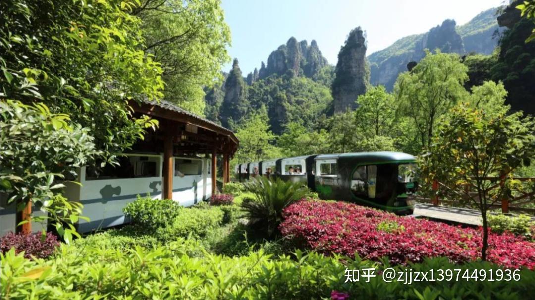 张家界森林公园旅游最全攻略 ？ - 知乎