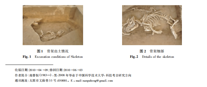 平遥弓村遗址出土猪骨骨架的现场保护及整体提取南普恒 - 知乎