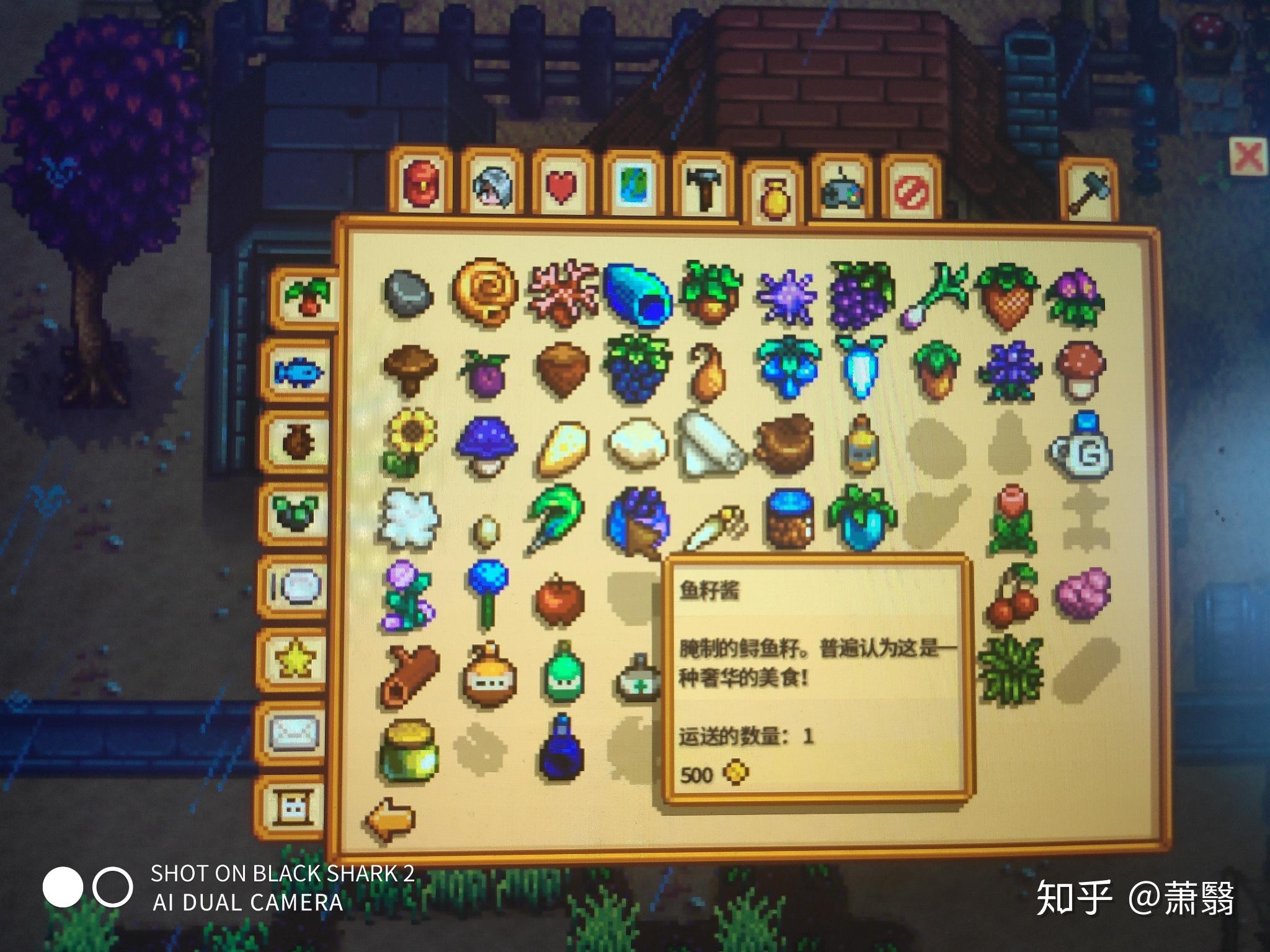 星露谷这个物品是什么