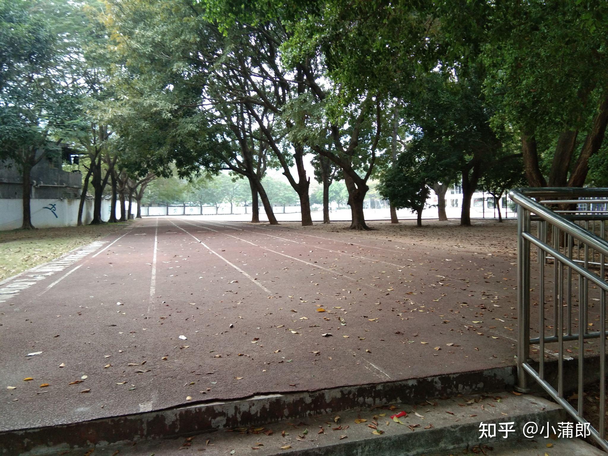 深圳康桥书院怎么样?环境学风?