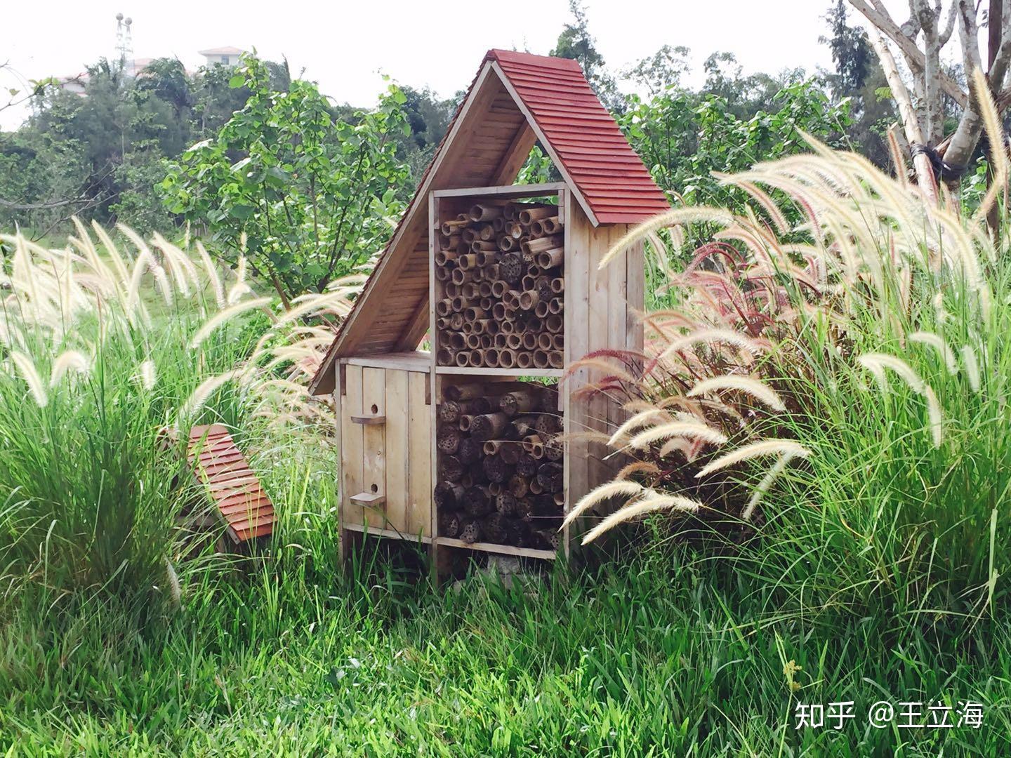植物园里的昆虫旅馆是做什么的