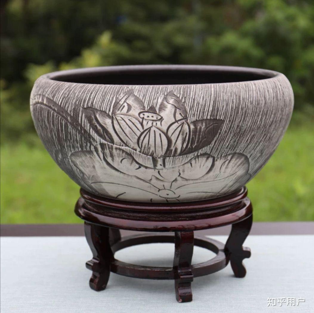 碗莲怎么水培?(水培碗莲种植方法图解)