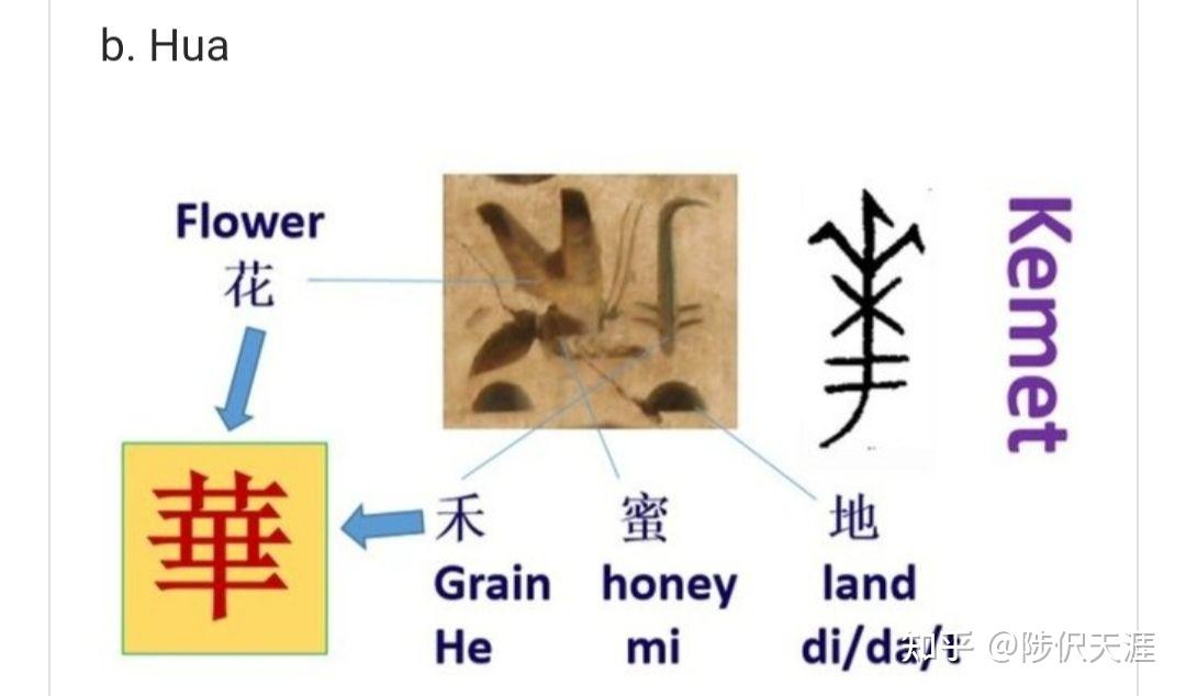 “中华”是什么意思,来源是什么? - 知乎
