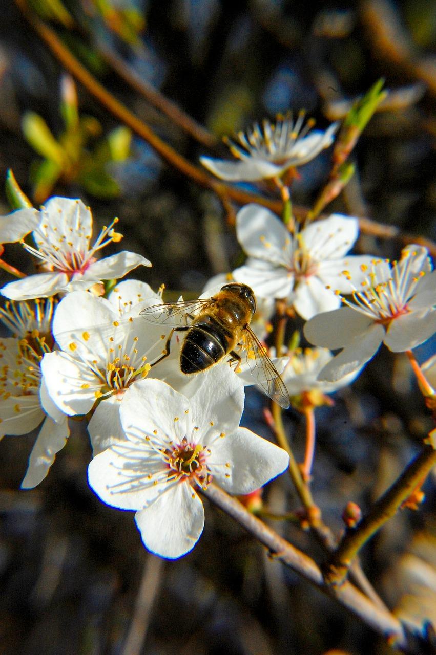 飞舞间的欢乐时光