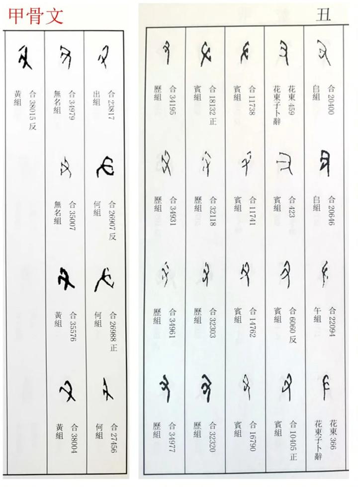 十二地支之"丑"——干支详解