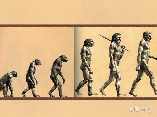 生物学视角来看,人是什么? - 知乎