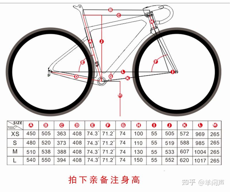 MK体育- MK体育官网- MK体育APP下载南平体育网
