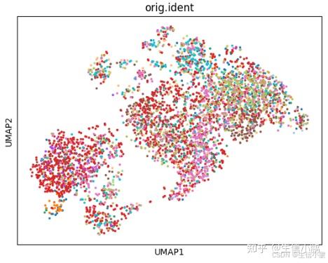 单细胞分析（15）—— Seurat → Scanpy：Seurat 数据转换为 Scanpy | 无缝衔接 - 知乎
