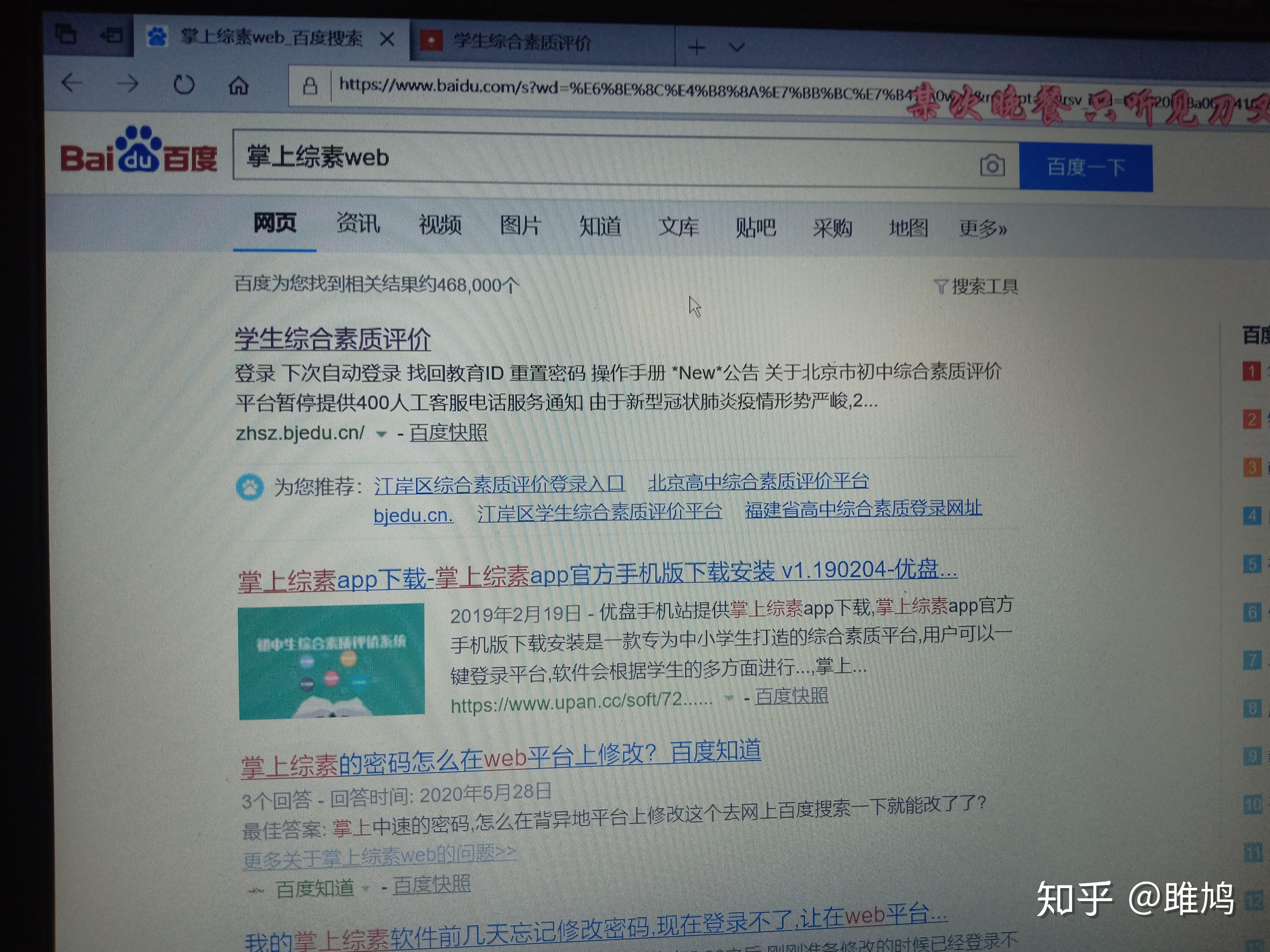 掌上棕素最新版本(掌上综素官方下载安装)