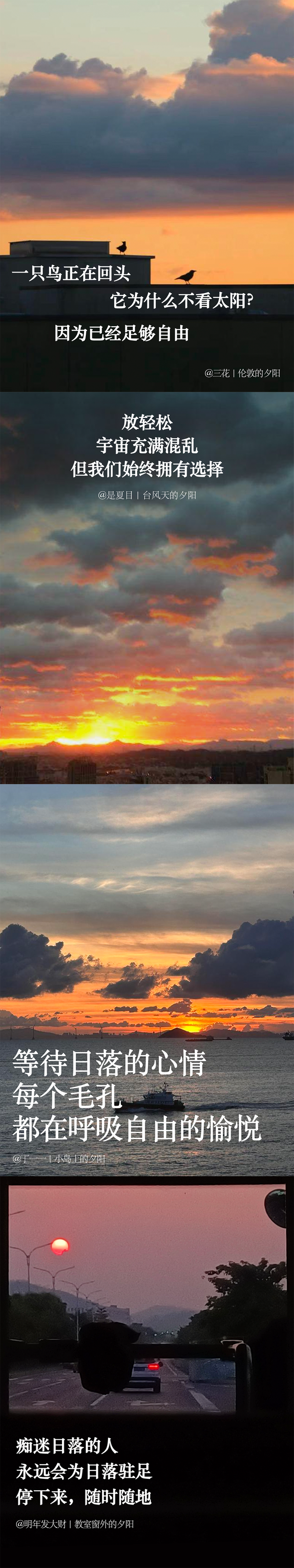 给所有忘记抬头看夕阳的人: - 知乎