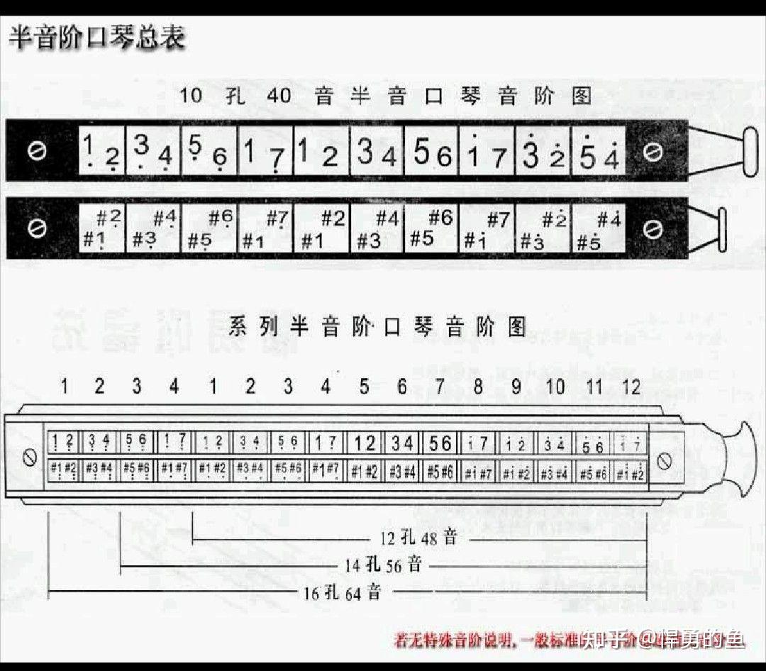 想買一個口琴零基礎初學者看口琴有很多種買哪種