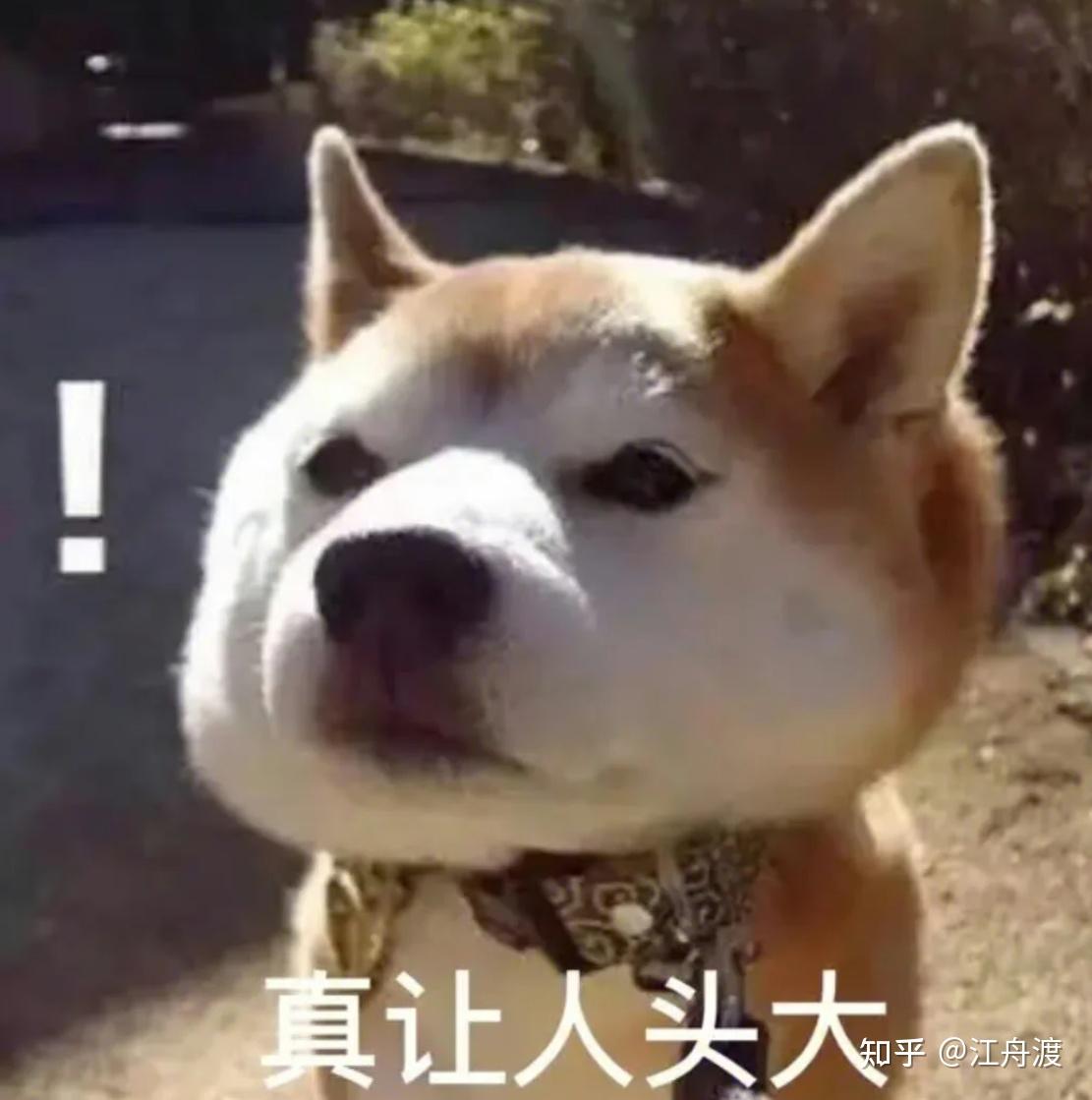 2026年618吸尘器选购指南:看不懂参数没关系,按需求找功能,一找一个准(附追觅、戴森、石头、友望四款吸尘器实测)