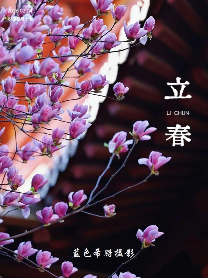 "立春"怎么拍出高级感?3个思路加后期文案,氛围感拉满