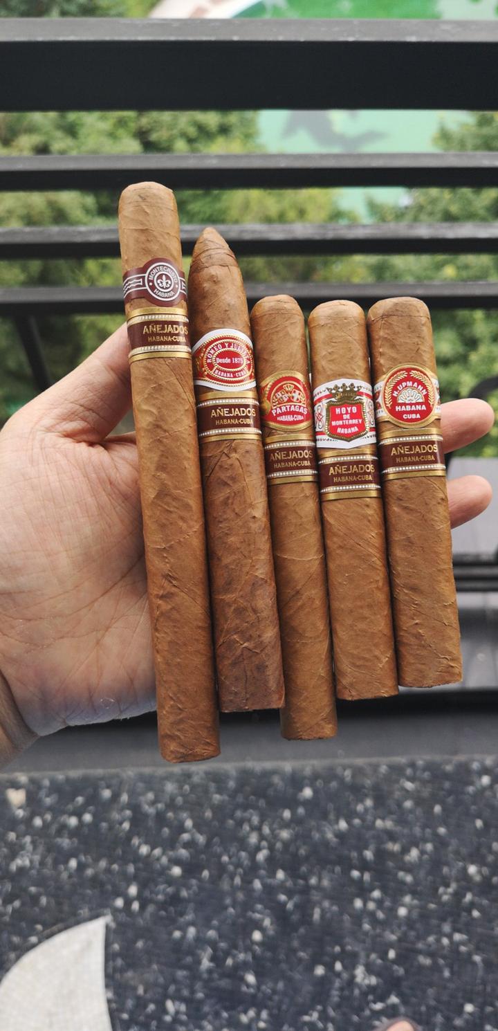 古巴雪茄五大官陈小析(厂陈)