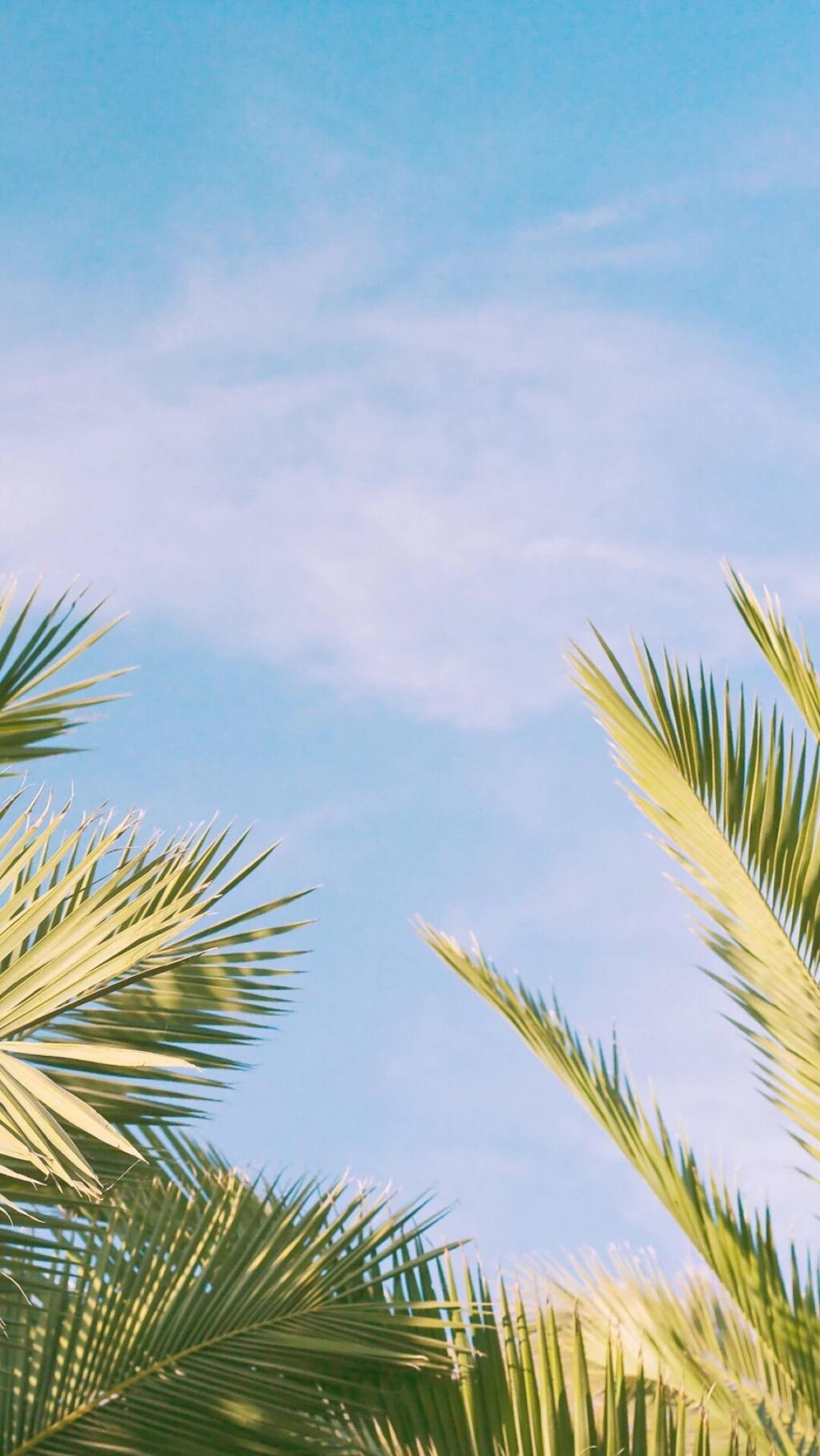 有哪些可以做微信聊天背景的图片