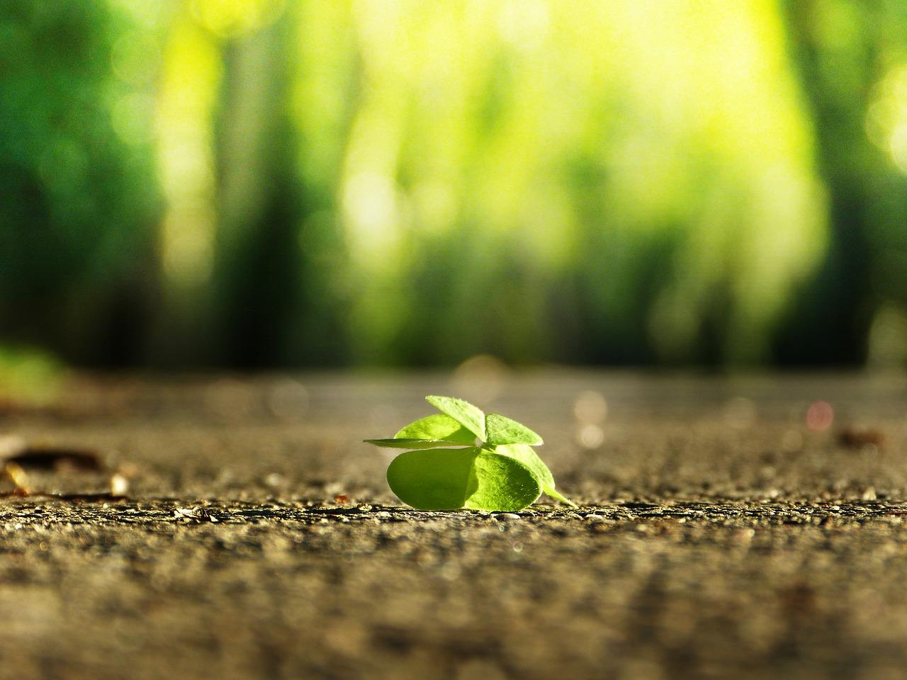 笑对挫折，乐观前行