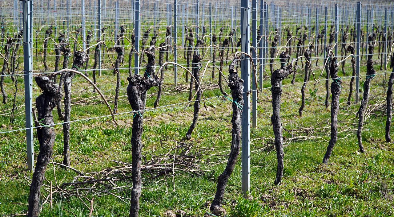 2. 上河景观豪宅