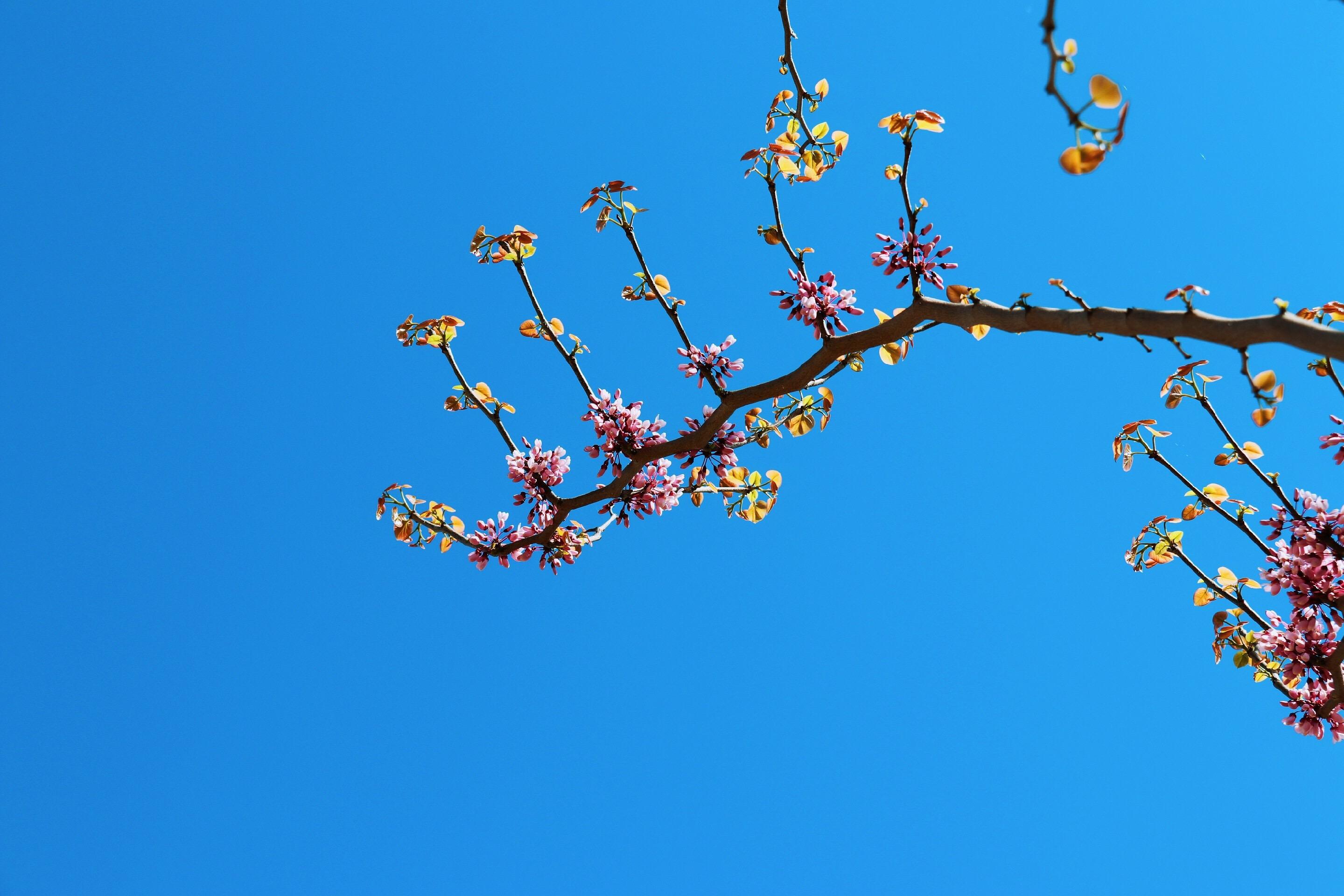 有没有一些一眼就惊艳的横屏手机壁纸? - 知乎