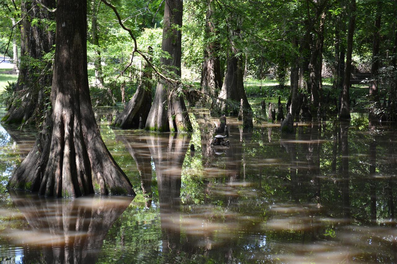 4. 家具价格分析