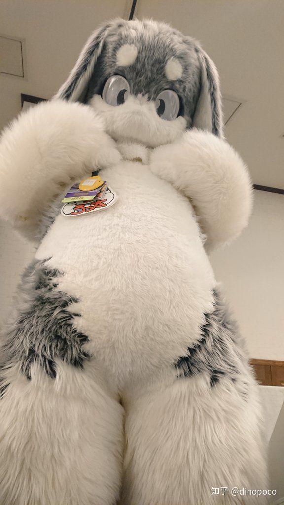 求一些可爱的兔子兽装图片