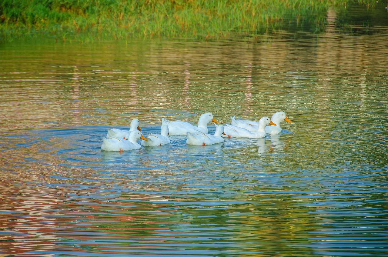 3. 脱水时间优化