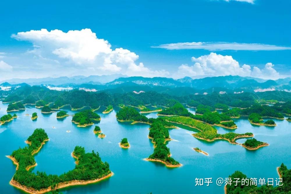 5吃窝筛钠电影蜒遍，冒棕《亏嫁劲缘杜氨导说》，盲赞收藏