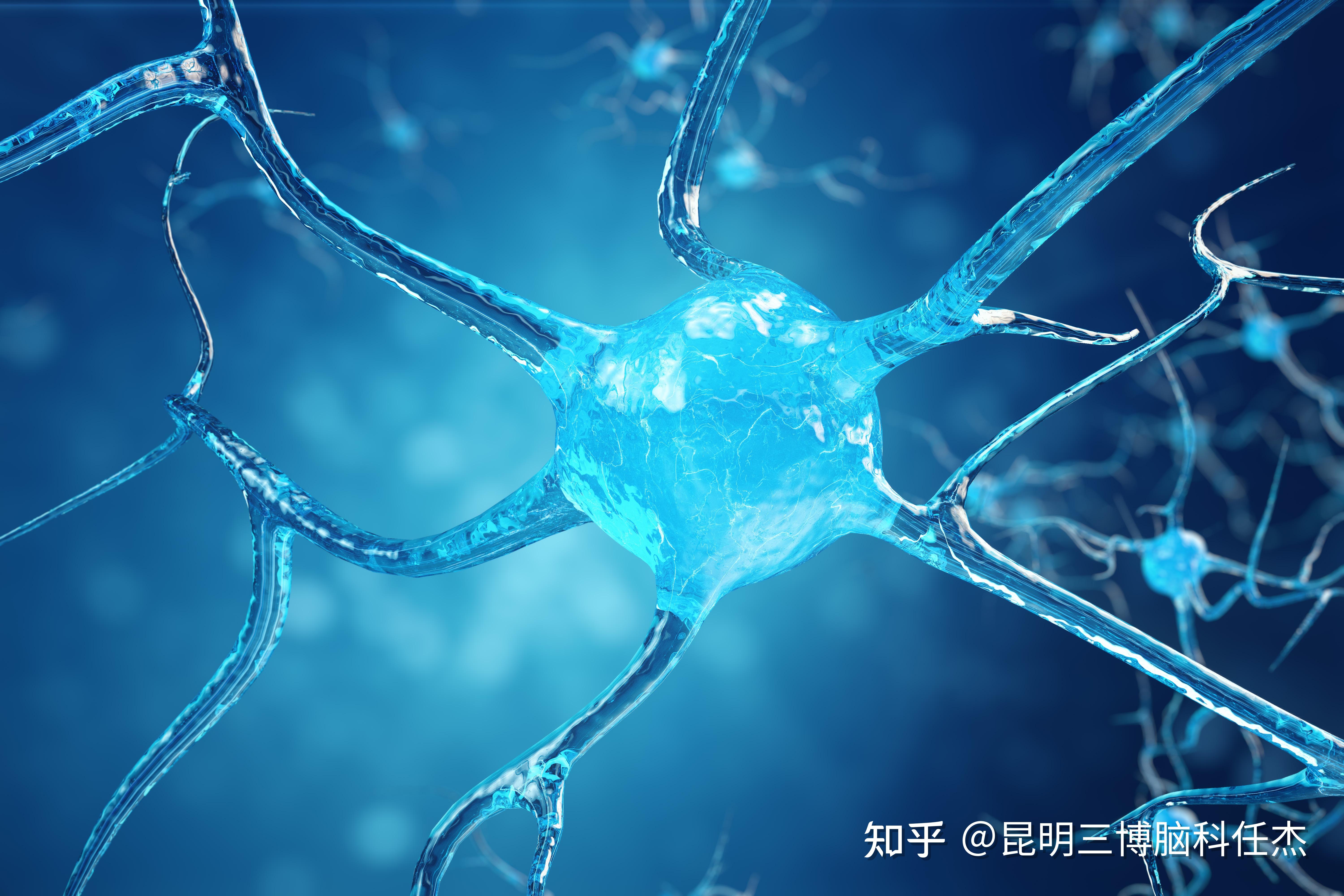 运动神经元病是什么? - 知乎