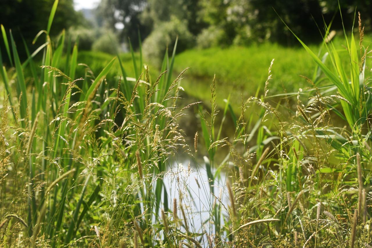 周边配套学校资源