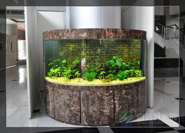 为什么说在室内装修时利用草缸做隔断,装饰很老土? - 知乎