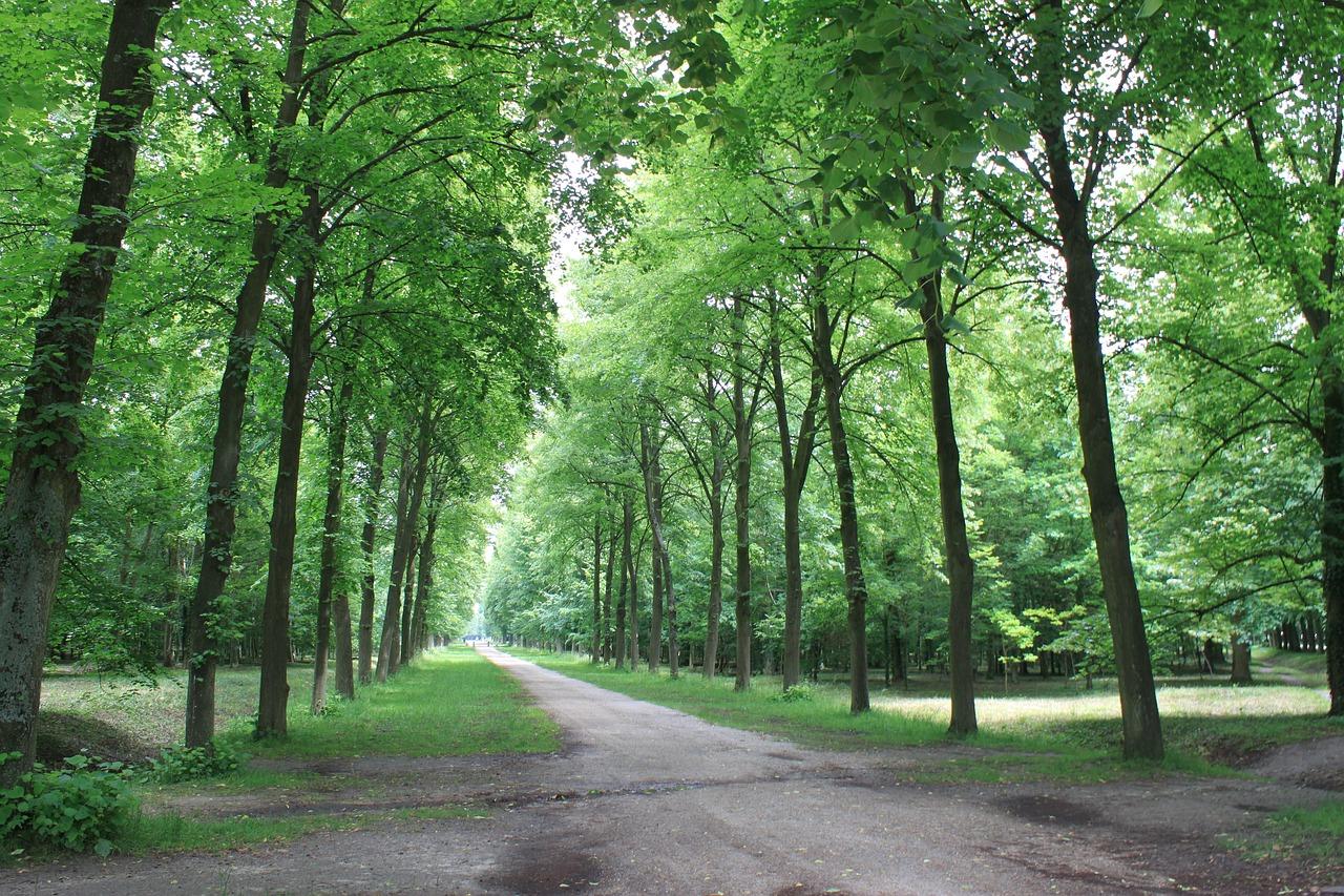 大路笔直代表什么数字