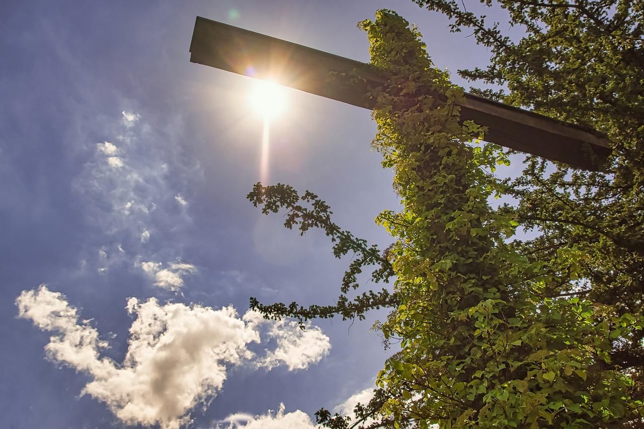 5. 电线杆安装高度