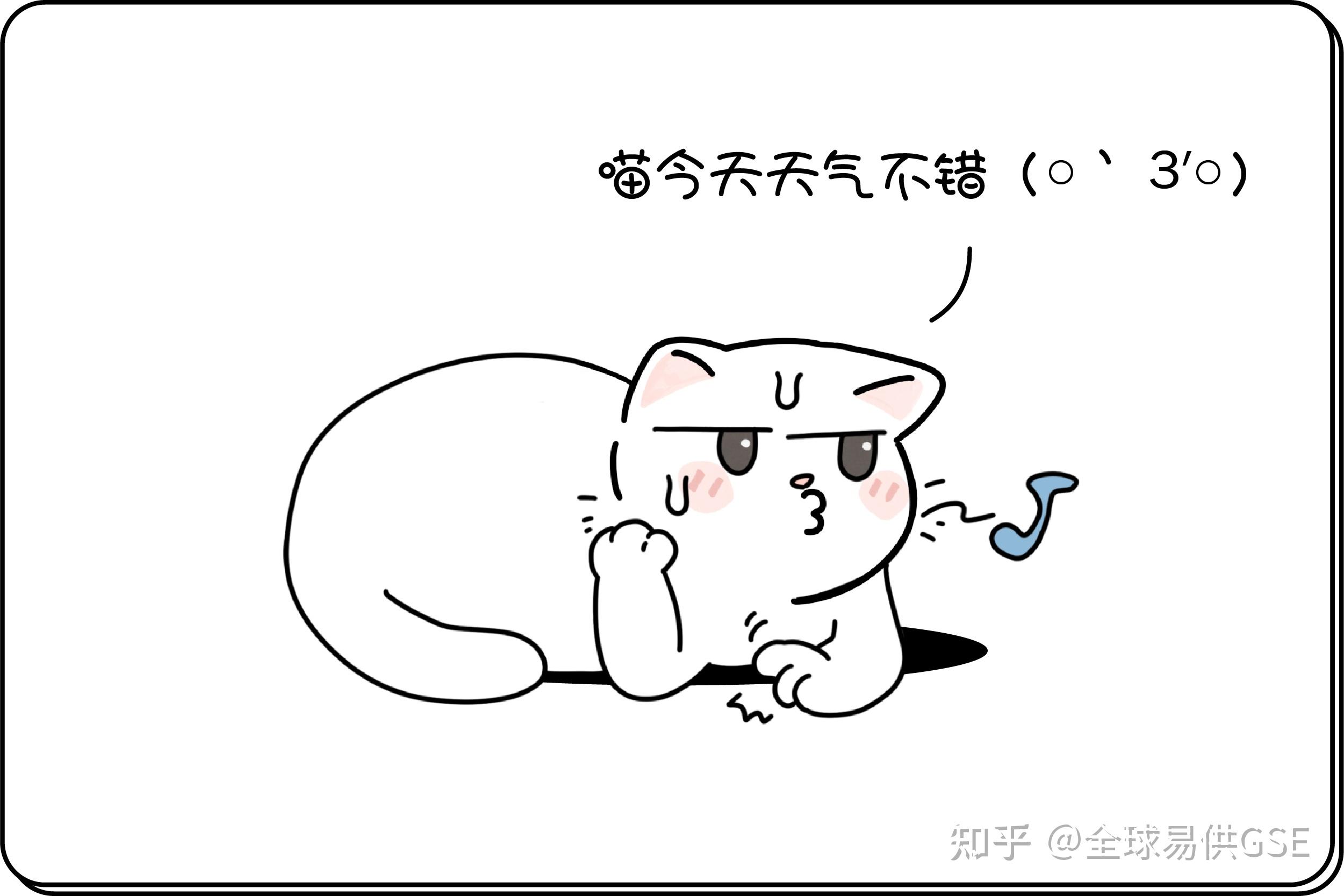 猫咪做错事了会道歉吗