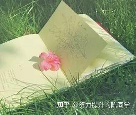 倾听与附和，两种聊天技巧 - 知乎
