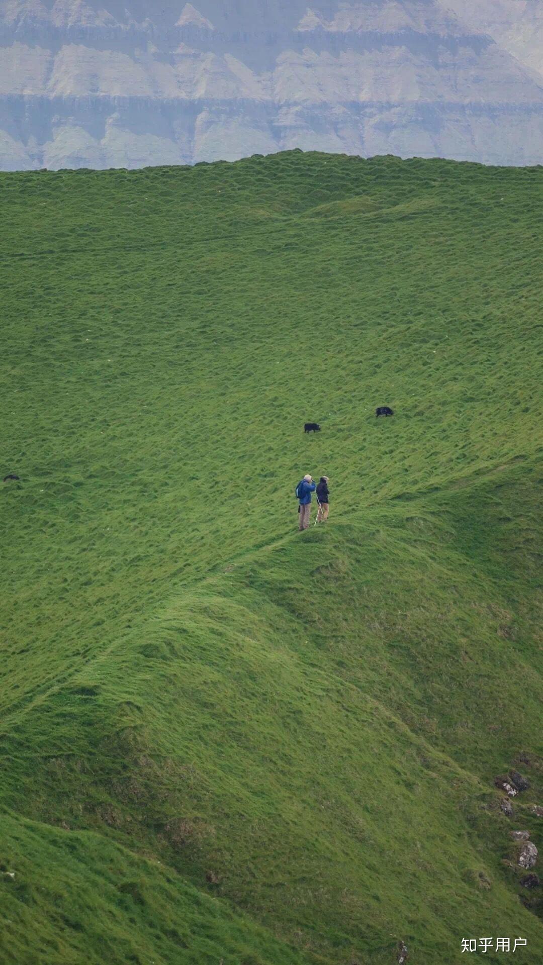 有没有qq简洁模式浅葱绿适合的背景图呀? - 知乎