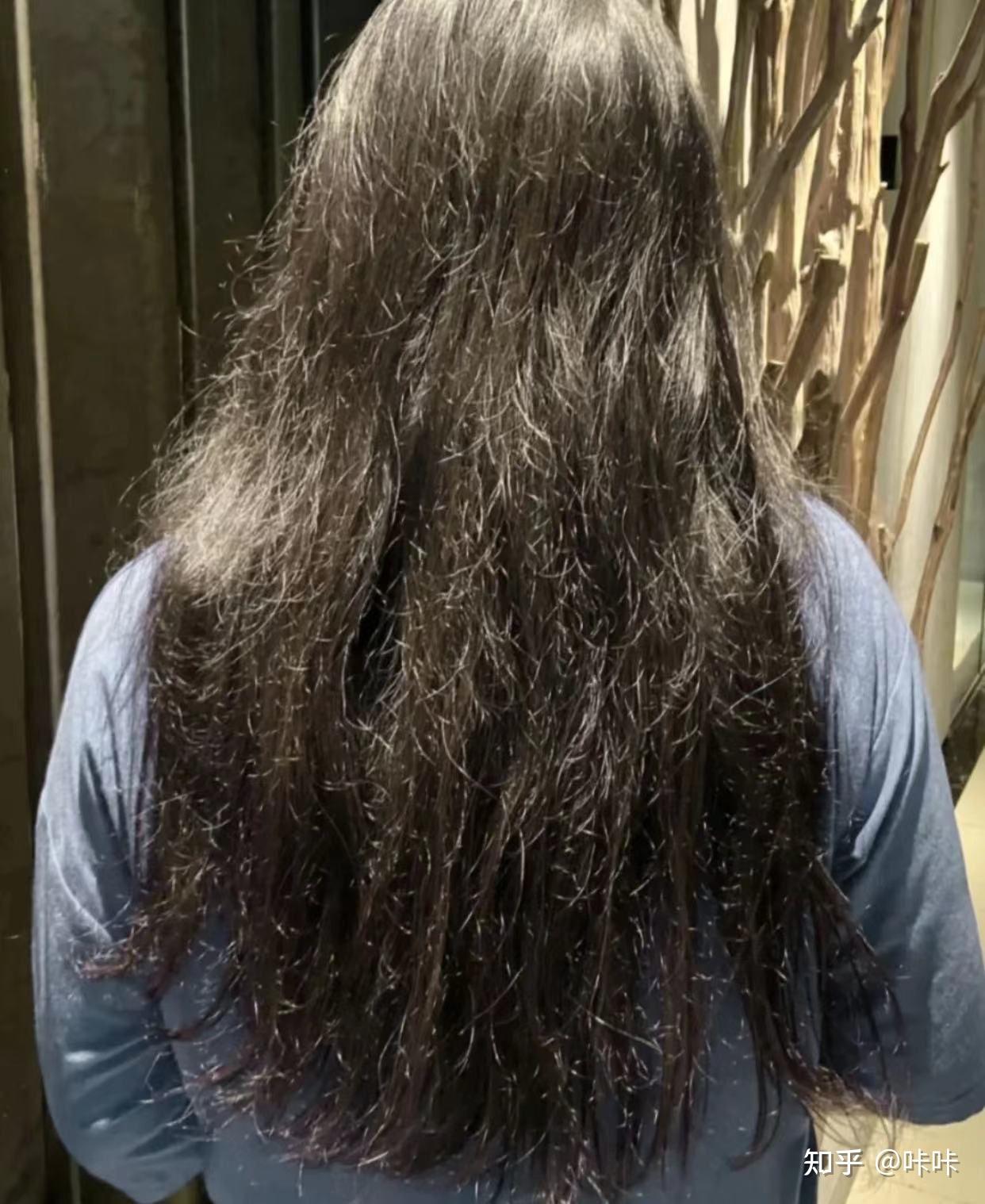 油性发质而且掉头发一般一天洗一次头发用什么洗发水比较好