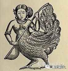 神话生物——佛教传说中的妙音鸟与共命鸟 - 知乎