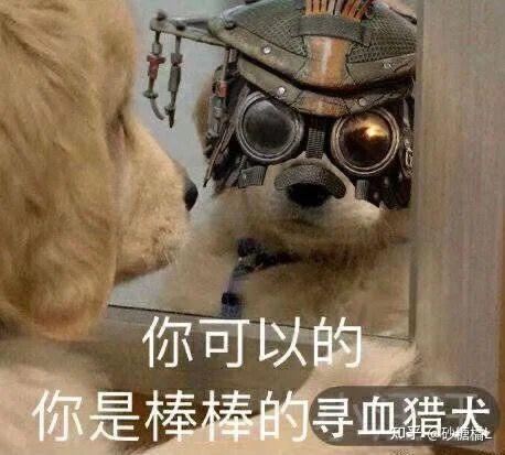 apex英雄有哪些有趣的表情包