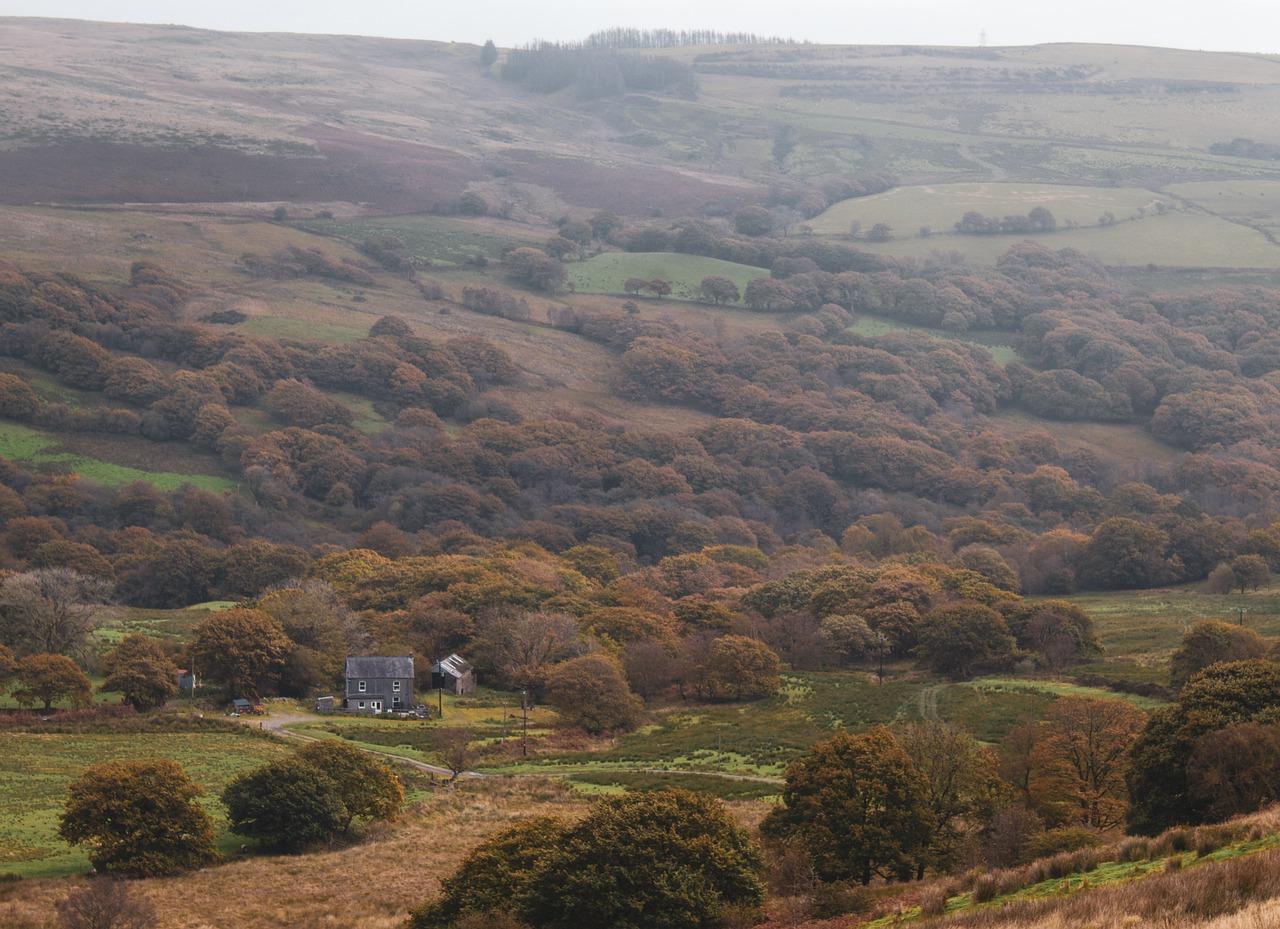 鹤岗购房落户条件