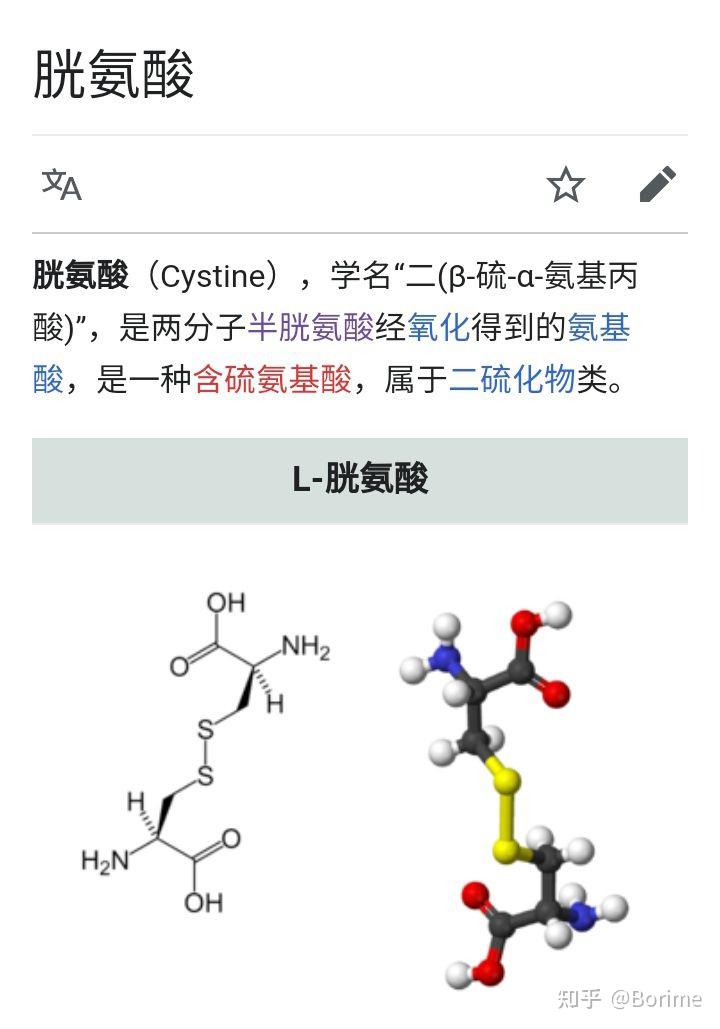 l半胱氨酸和胱氨酸有何区别