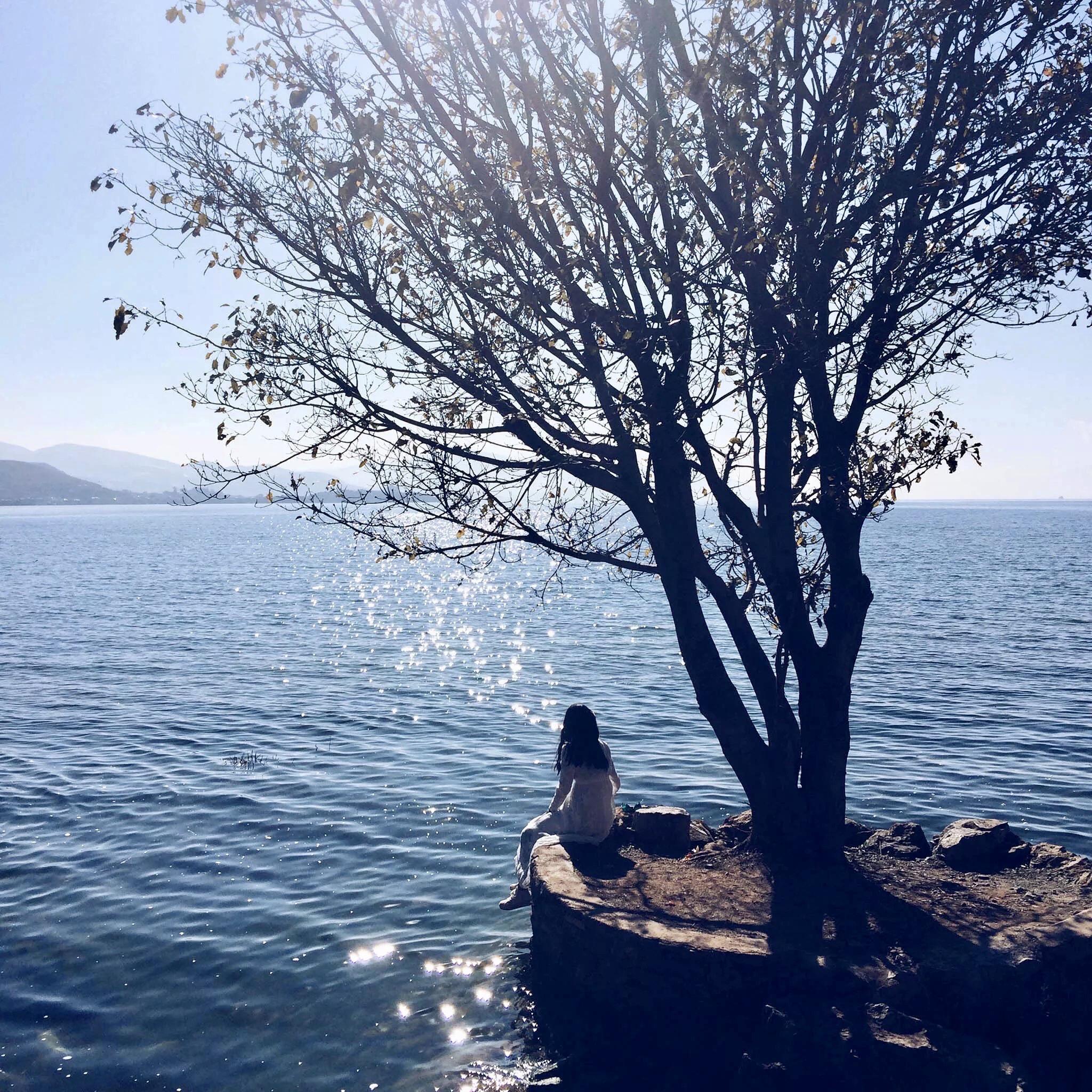 有没有ipadmini5能用的壁纸