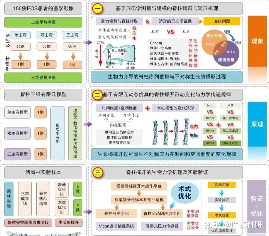 国自然技术路线图：看到这样的图，评审专家直接给5A！ - 知乎