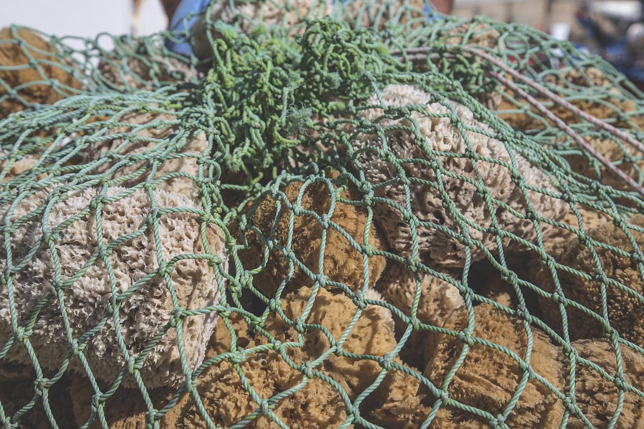 广东泡泡海在哪里