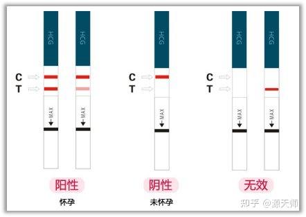 验孕棒的正确使用方法是什么呢？ - 知乎