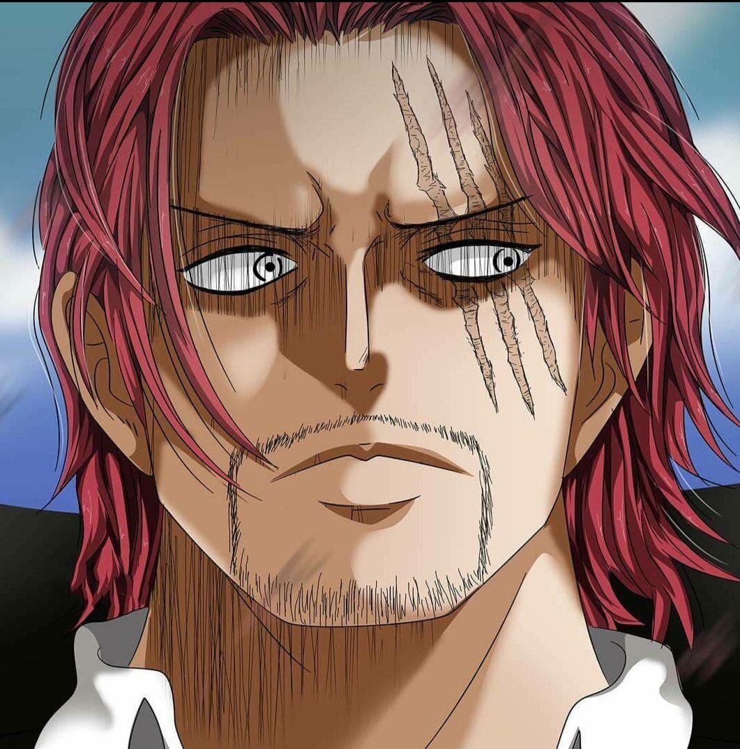 有没有适合四个兄弟的海贼王头像? - 知乎